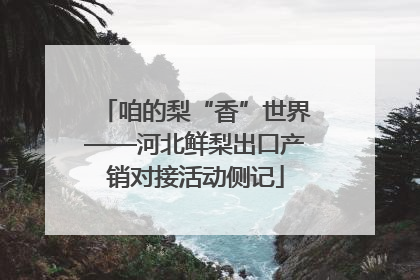 咱的梨“香”世界——河北鲜梨出口产销对接活动侧记