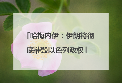 哈梅内伊：伊朗将彻底摧毁以色列政权