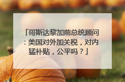 哥斯达黎加前总统顾问：美国对外加关税，对内猛补贴，公平吗？