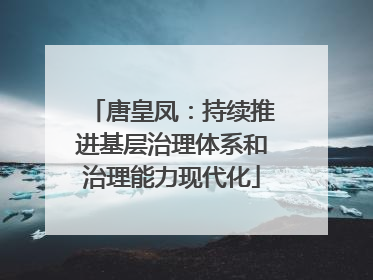 唐皇凤：持续推进基层治理体系和治理能力现代化