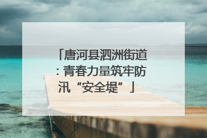 唐河县泗洲街道：青春力量筑牢防汛“安全堤”