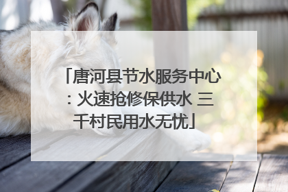 唐河县节水服务中心：火速抢修保供水 三千村民用水无忧
