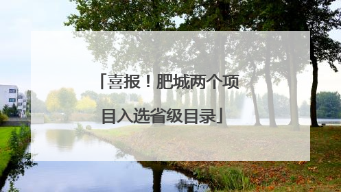 喜报！肥城两个项目入选省级目录