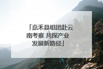 嘉禾县组团赴云南考察 共探产业发展新路径