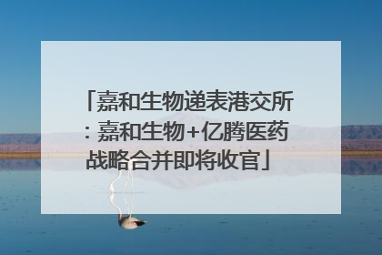 嘉和生物递表港交所：嘉和生物+亿腾医药战略合并即将收官