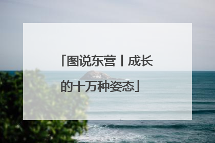 图说东营丨成长的十万种姿态