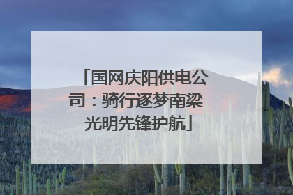 国网庆阳供电公司：骑行逐梦南梁 光明先锋护航