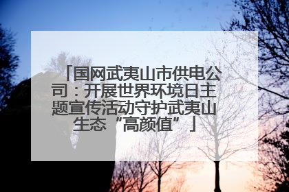国网武夷山市供电公司：开展世界环境日主题宣传活动守护武夷山生态“高颜值”