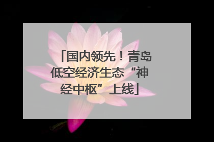 国内领先！青岛低空经济生态“神经中枢”上线