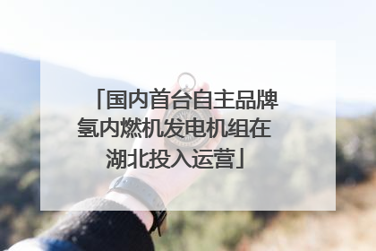 国内首台自主品牌氢内燃机发电机组在湖北投入运营