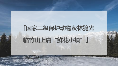 国家二级保护动物灰林鸮光临竹山上庸“鲜花小镇”