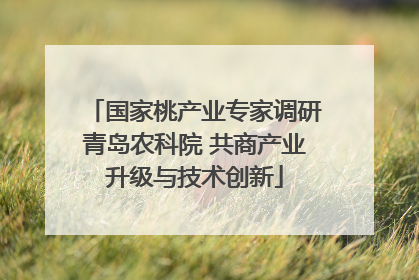 国家桃产业专家调研青岛农科院 共商产业升级与技术创新