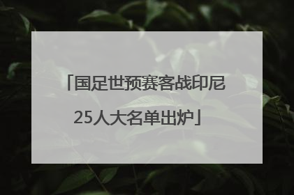 国足世预赛客战印尼25人大名单出炉