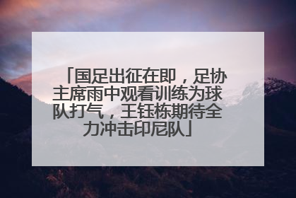 国足出征在即，足协主席雨中观看训练为球队打气，王钰栋期待全力冲击印尼队
