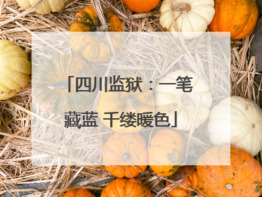 四川监狱：一笔藏蓝 千缕暖色