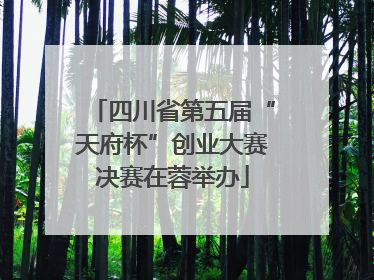 四川省第五届“天府杯”创业大赛决赛在蓉举办