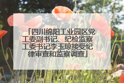 四川绵阳工业园区党工委副书记、纪检监察工委书记李玉琼接受纪律审查和监察调查