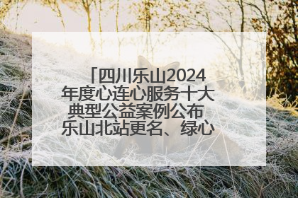 四川乐山2024年度心连心服务十大典型公益案例公布 乐山北站更名、绿心路井盖治理等上榜