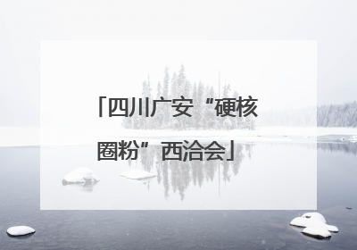 四川广安“硬核圈粉”西洽会
