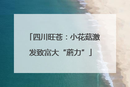 四川旺苍：小花菇激发致富大“蘑力”