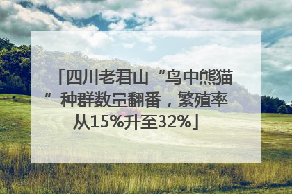 四川老君山“鸟中熊猫”种群数量翻番，繁殖率从15%升至32%