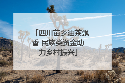 四川苗乡油茶飘香 民族类资金助力乡村振兴