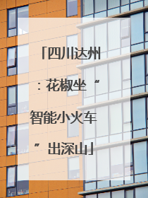 四川达州：花椒坐“智能小火车”出深山