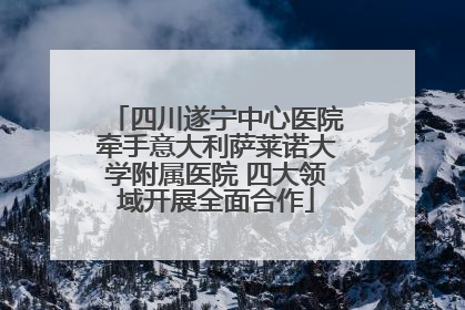 四川遂宁中心医院牵手意大利萨莱诺大学附属医院 四大领域开展全面合作