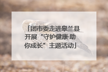 团市委走进皋兰县开展“守护健康·助你成长”主题活动