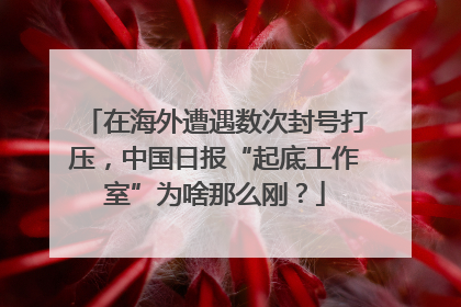 在海外遭遇数次封号打压，中国日报“起底工作室”为啥那么刚？