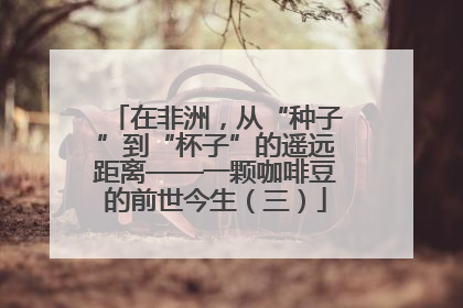 在非洲，从“种子”到“杯子”的遥远距离——一颗咖啡豆的前世今生（三）
