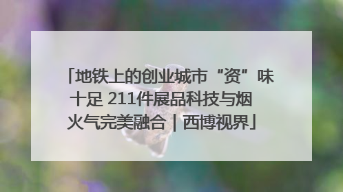 地铁上的创业城市“资”味十足 211件展品科技与烟火气完美融合｜西博视界
