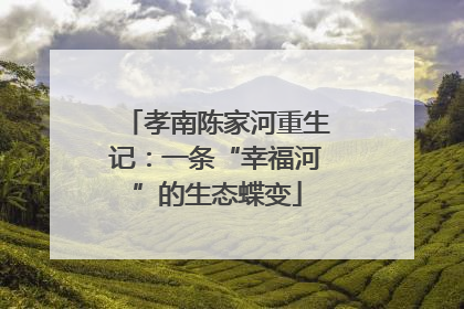 孝南陈家河重生记：一条“幸福河”的生态蝶变