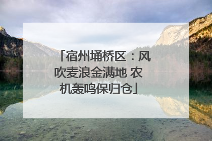 宿州埇桥区：风吹麦浪金满地 农机轰鸣保归仓