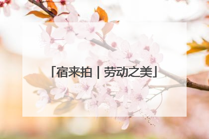 宿来拍｜劳动之美