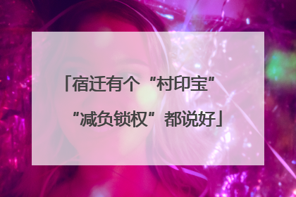 宿迁有个“村印宝” “减负锁权”都说好