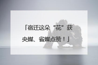 宿迁这朵“花”获央媒、省媒点赞！