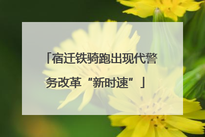 宿迁铁骑跑出现代警务改革“新时速”