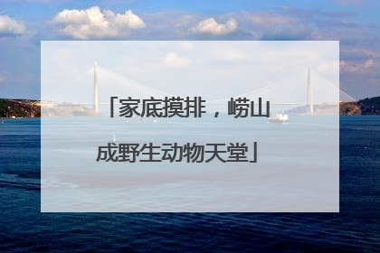 家底摸排，崂山成野生动物天堂