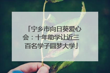 宁乡市向日葵爱心会：十年助学让近三百名学子圆梦大学