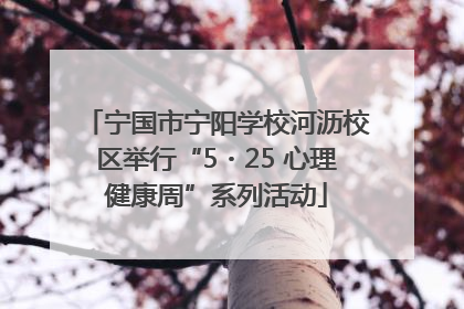 宁国市宁阳学校河沥校区举行“5・25 心理健康周”系列活动