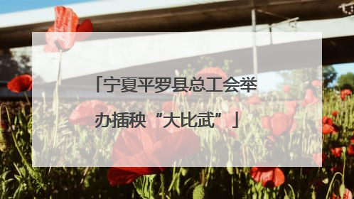 宁夏平罗县总工会举办插秧“大比武”