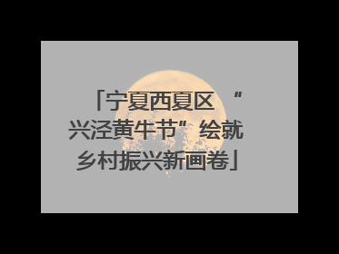 宁夏西夏区 “兴泾黄牛节”绘就乡村振兴新画卷