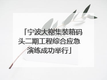 宁波大榭集装箱码头二期工程综合应急演练成功举行