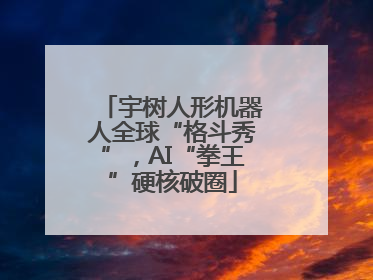 宇树人形机器人全球“格斗秀”，AI“拳王”硬核破圈