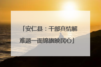 安仁县：干部真情解难题一面锦旗映民心