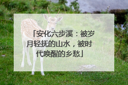安化六步溪：被岁月轻抚的山水，被时代唤醒的乡愁