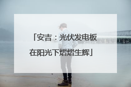 安吉：光伏发电板在阳光下熠熠生辉