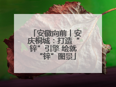 安徽向前丨安庆桐城：打造“锌”引擎 绘就“锌”图景