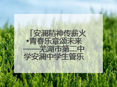 安澜精神传薪火•青春乐章颂未来——芜湖市第二中学安澜中学生管乐团第十二届公益展演圆满举行